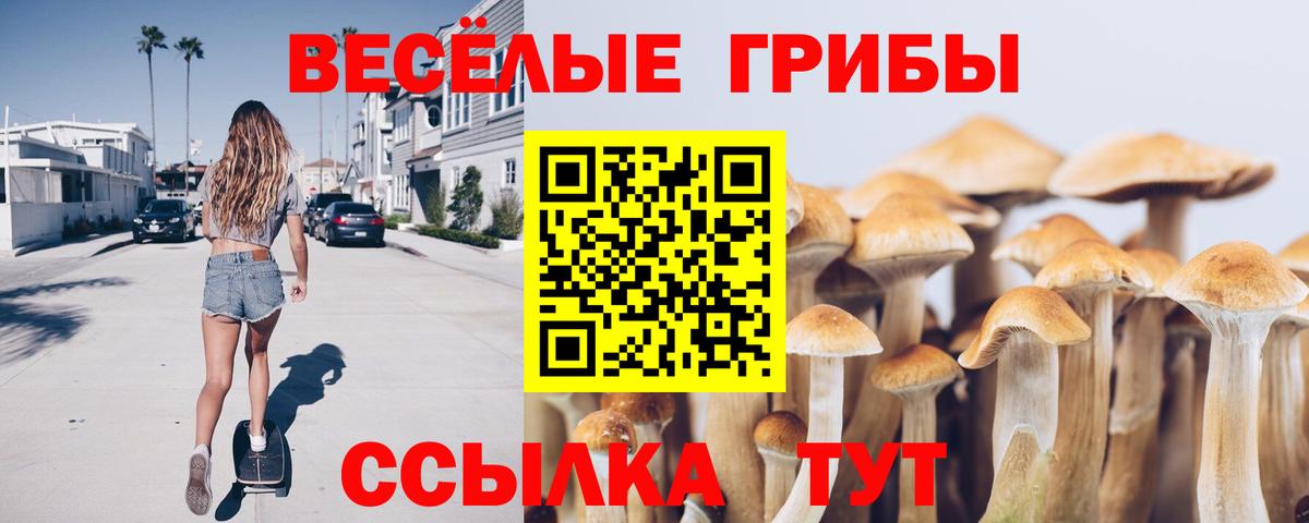 Псилоцибиновые грибы ЛСД  Вход с VPN  Калач-на-Дону  Галлюциногенные грибы MAGIC MUSHROOMS 